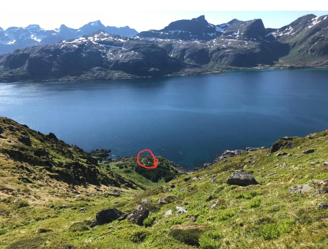 Vettinghytta, Close To The Sea With Amazing View. Gravdal  Luaran gambar