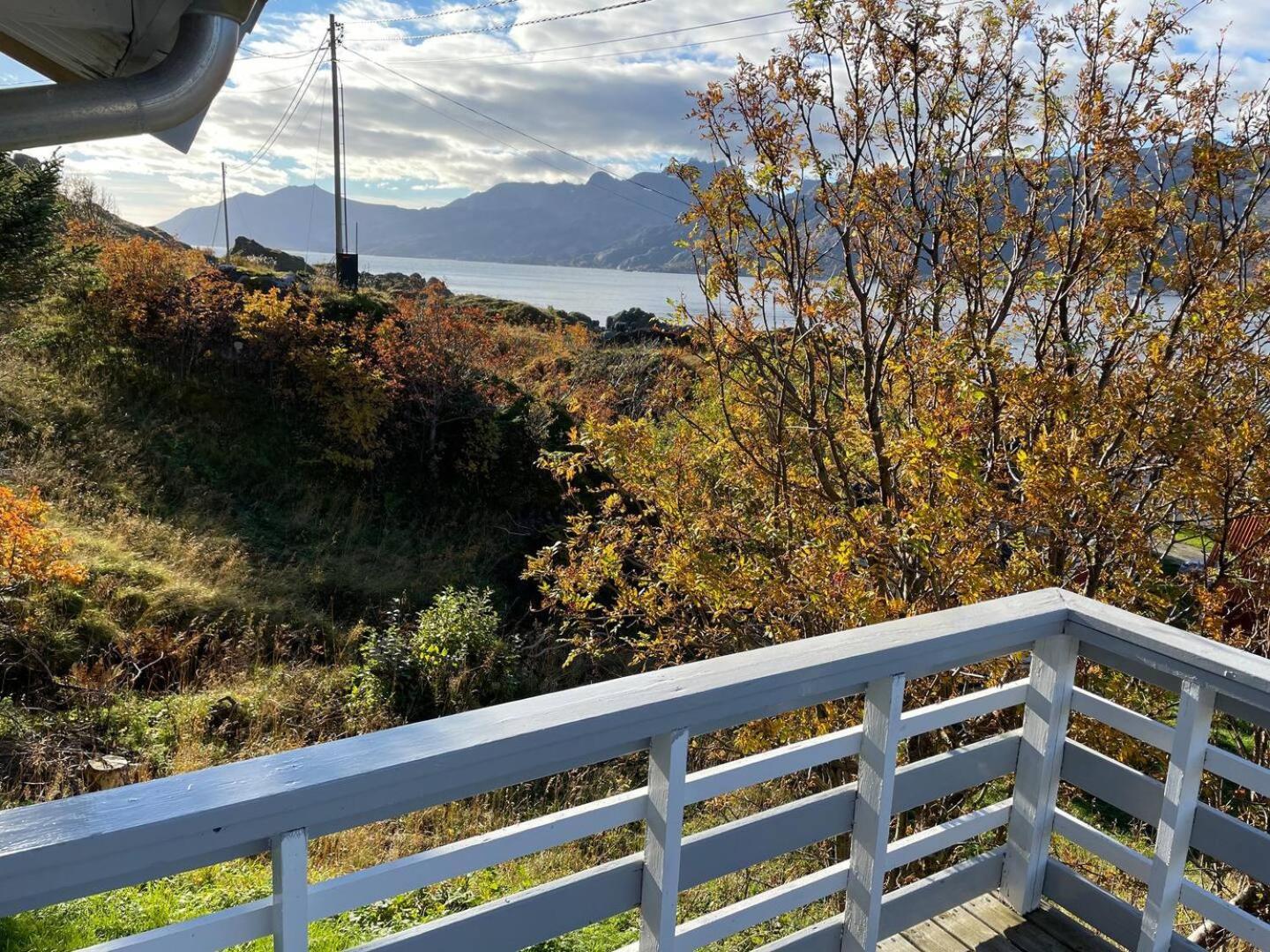 Vettinghytta, Close To The Sea With Amazing View. Gravdal  Luaran gambar