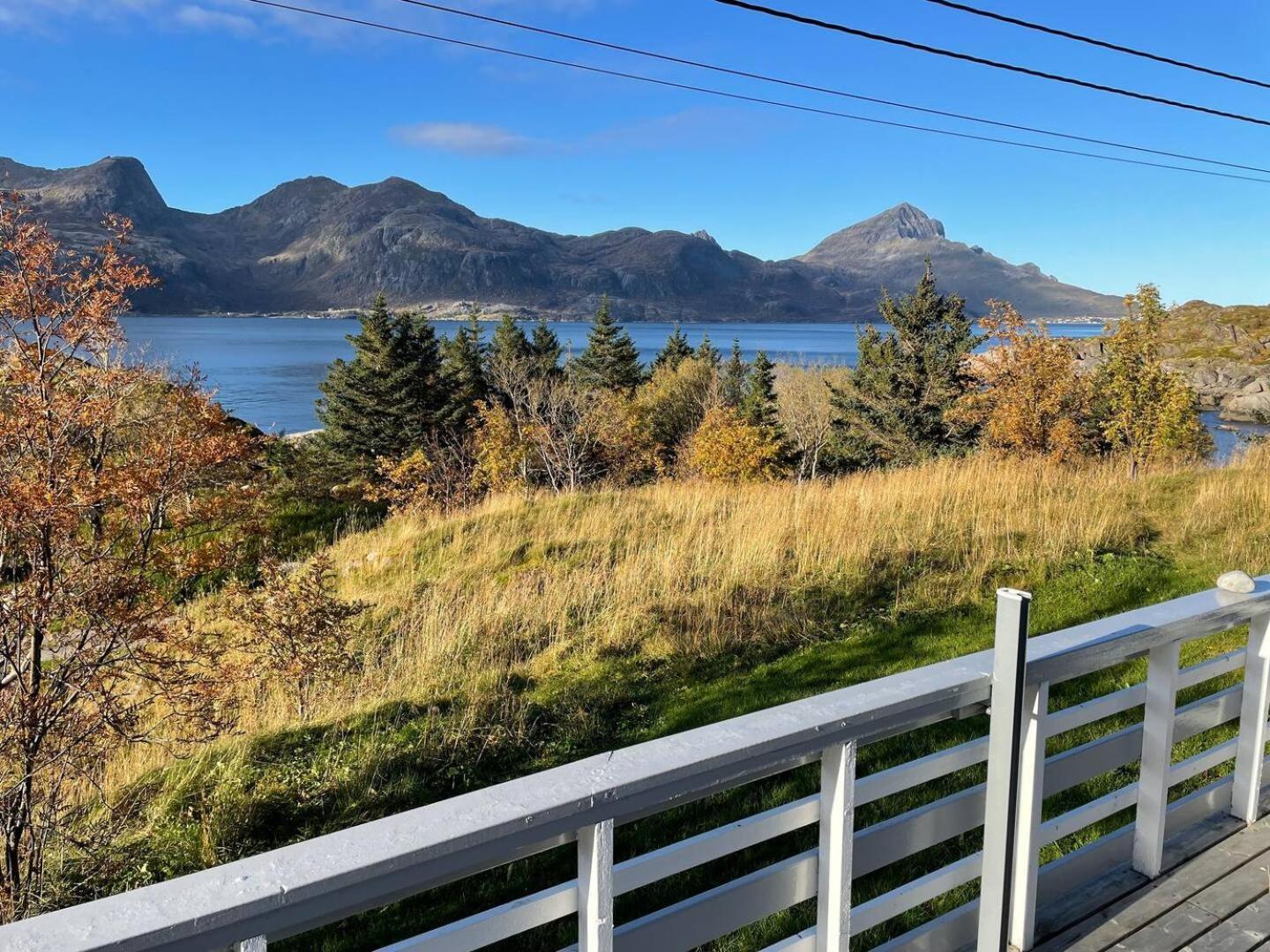 Vettinghytta, Close To The Sea With Amazing View. Gravdal  Luaran gambar