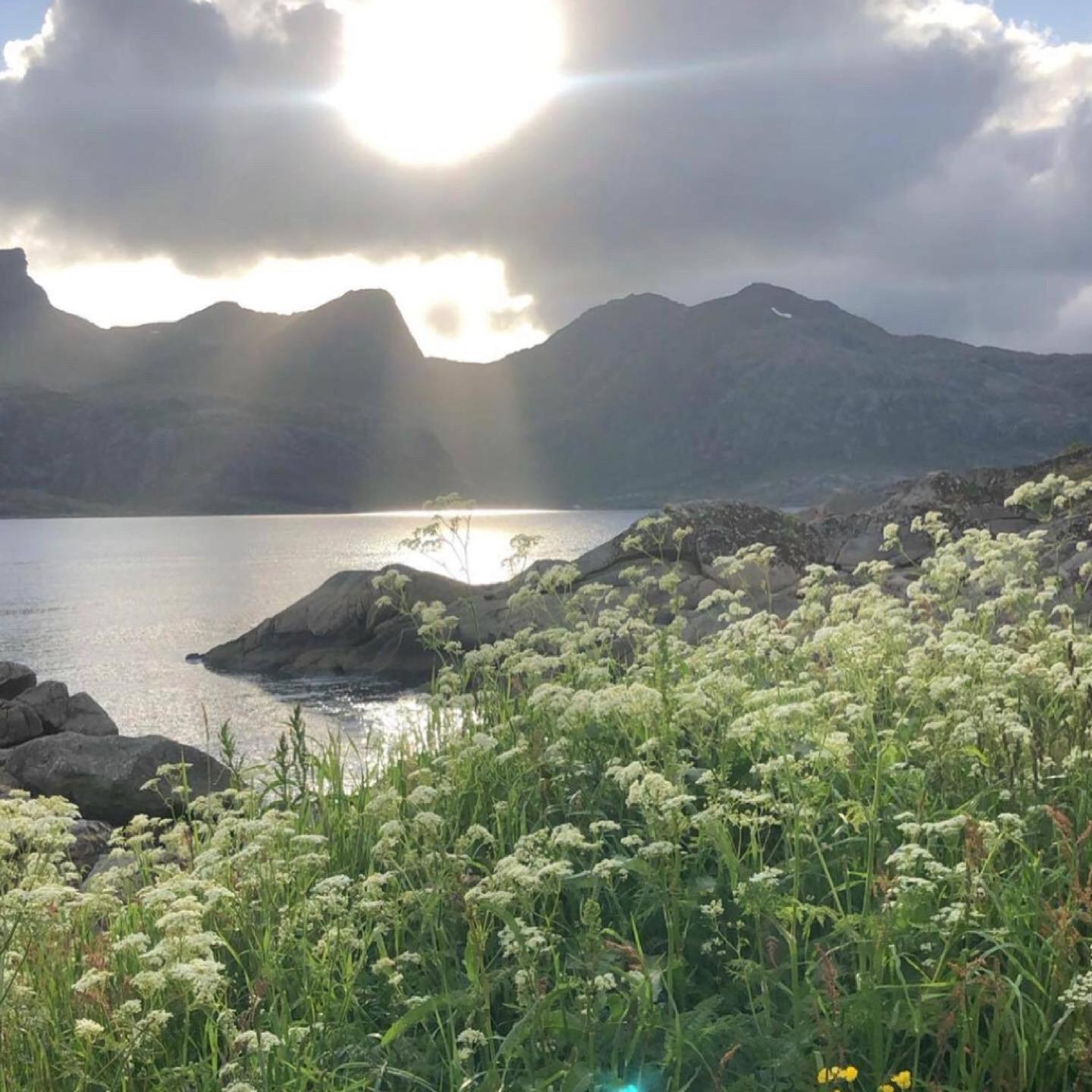 Vettinghytta, Close To The Sea With Amazing View. Gravdal  Luaran gambar